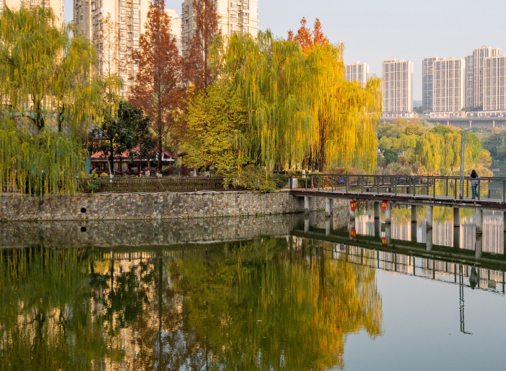 DSC_6087(8397188)-20251209113028