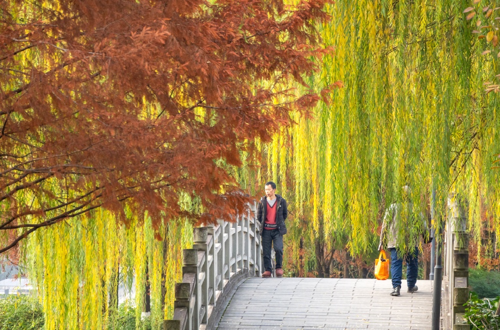 DSC_6142(8397190)-20251209113030