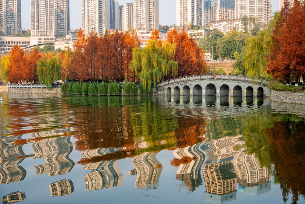 DSC_6105(8397180)-20251209113018