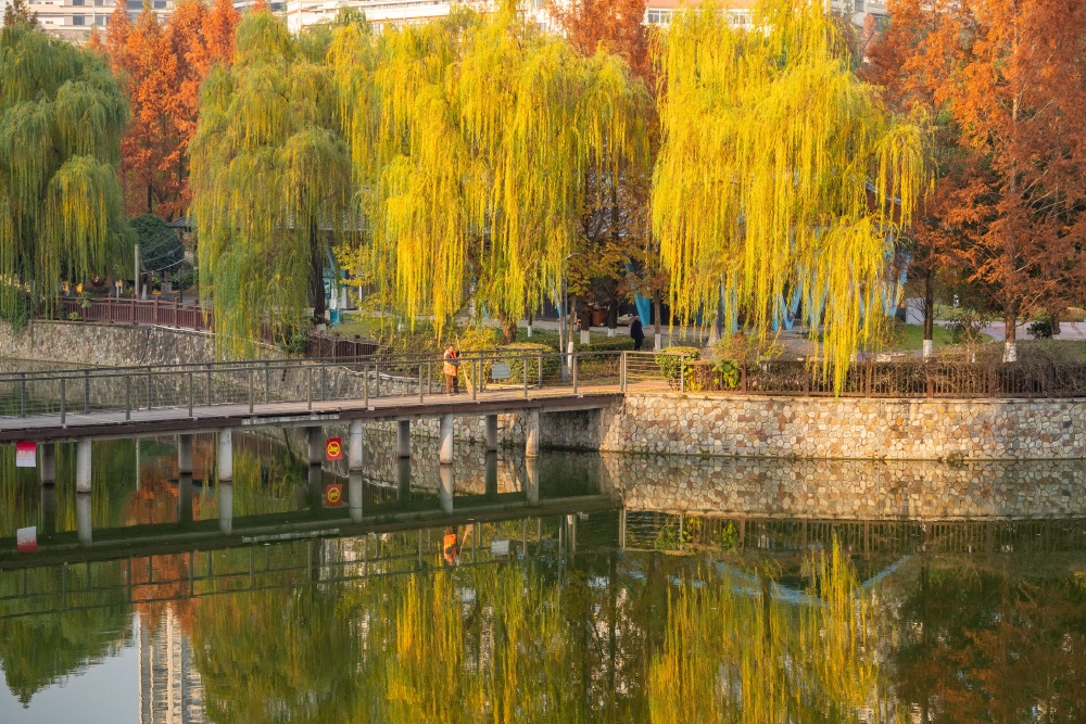 DSC_6065(8397184)-20251209113023