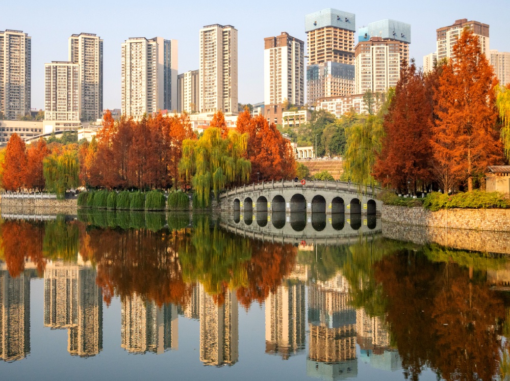 DSC_6089(8397186)-20251209113025