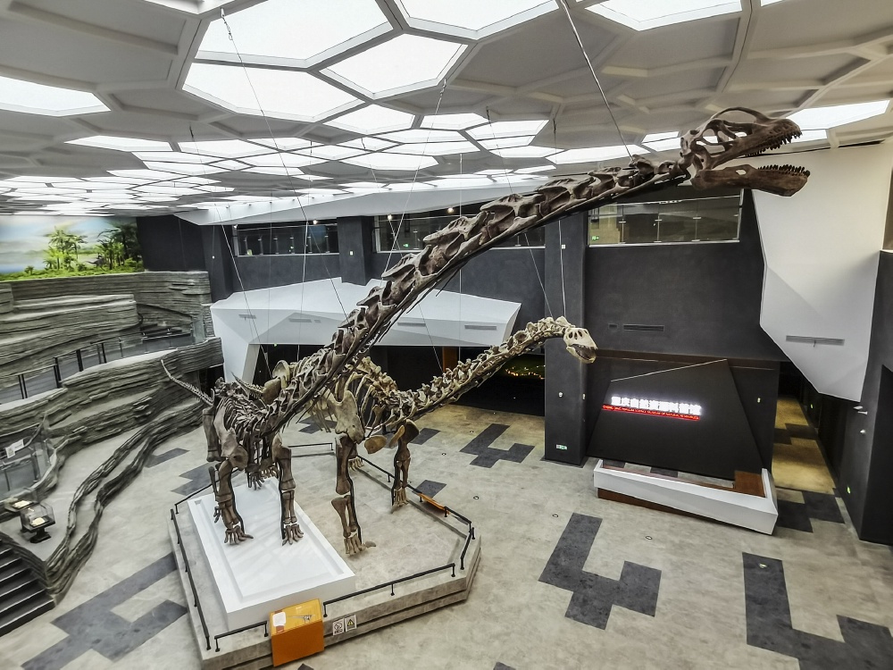 科研团队已对该恐龙进行科学复原与装架,现已在重庆自然资源科普馆中心展厅展出。受访者供图