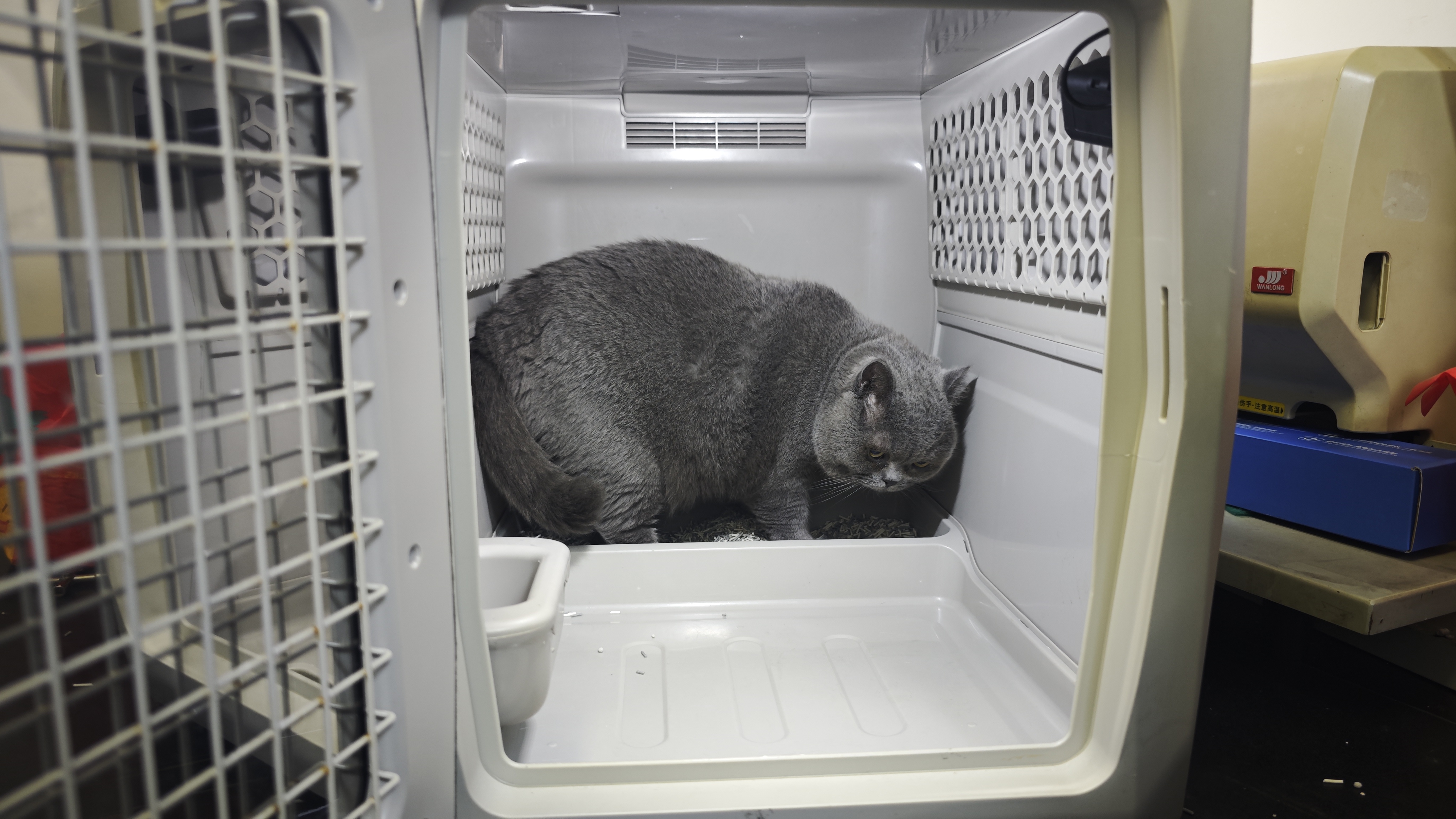 全市首次！重庆西站新增高铁宠物托运服务